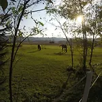 Pearl Of Sava Wild Waters *