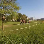 Pearl Of Sava Wild Waters Prázdninový dům *