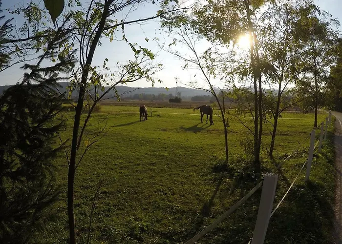 Pearl Of Sava Wild Waters *