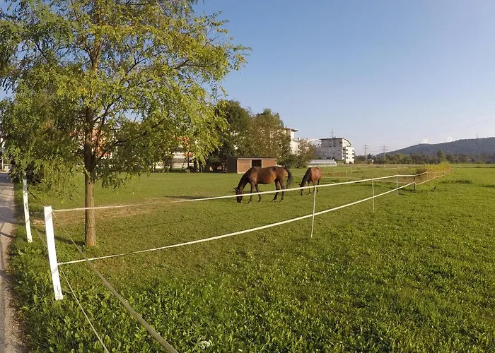 Pearl Of Sava Wild Waters Сasa de vacaciones *